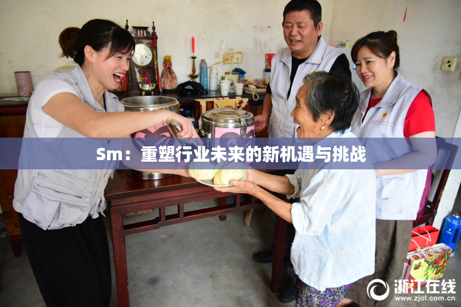 Sm：重塑行业未来的新机遇与挑战