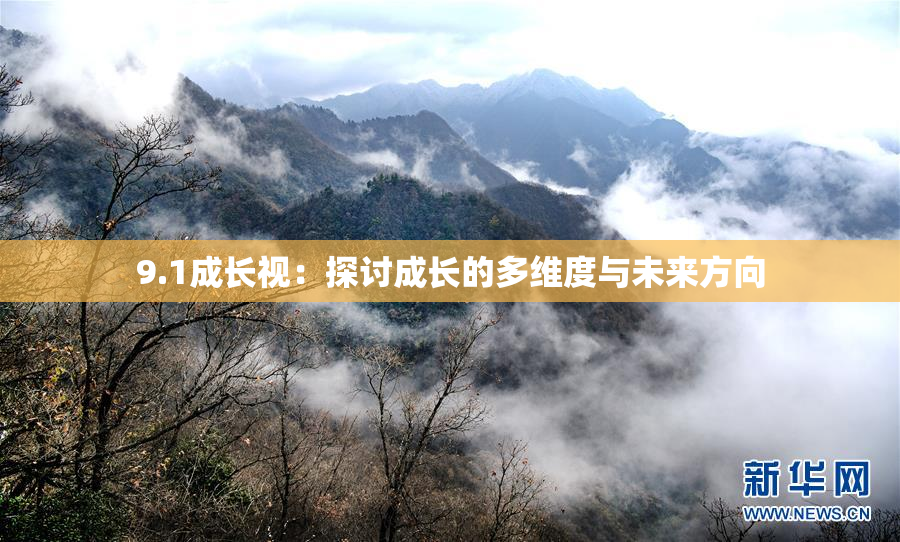 9.1成长视：探讨成长的多维度与未来方向
