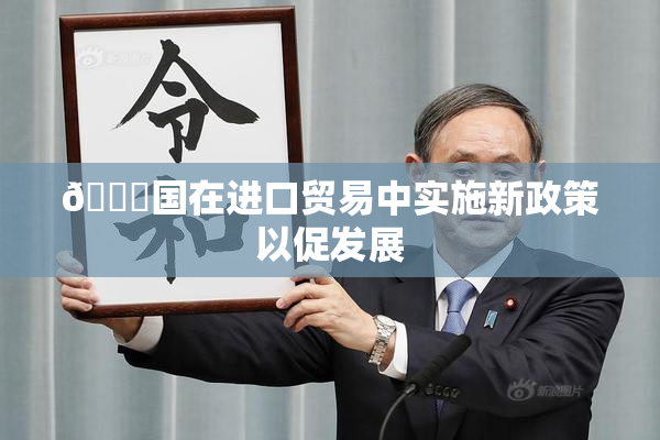 🔞国在进口贸易中实施新政策以促发展