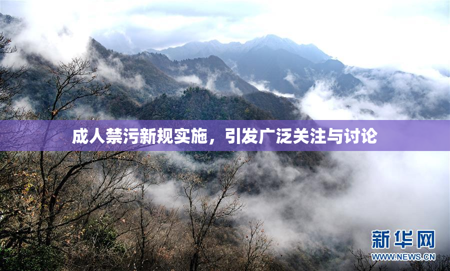 成人禁污新规实施，引发广泛关注与讨论