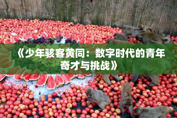 《少年骇客黄同:数字时代的青年奇才与挑战》