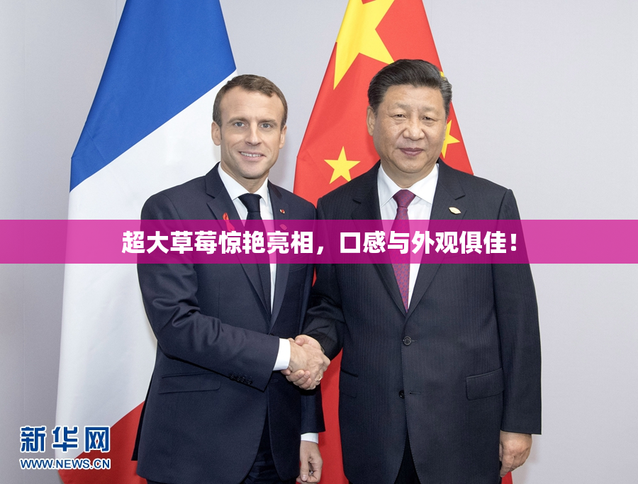 超大草莓惊艳亮相，口感与外观俱佳！