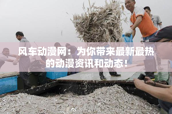 风车动漫网：为你带来最新最热的动漫资讯和动态！