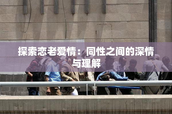 探索恋老爱情：同性之间的深情与理解