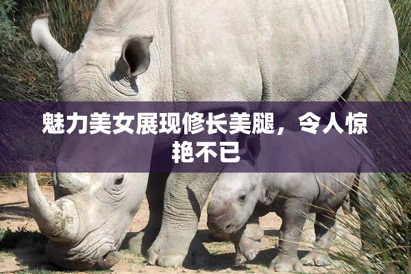 魅力美女展现修长美腿，令人惊艳不已