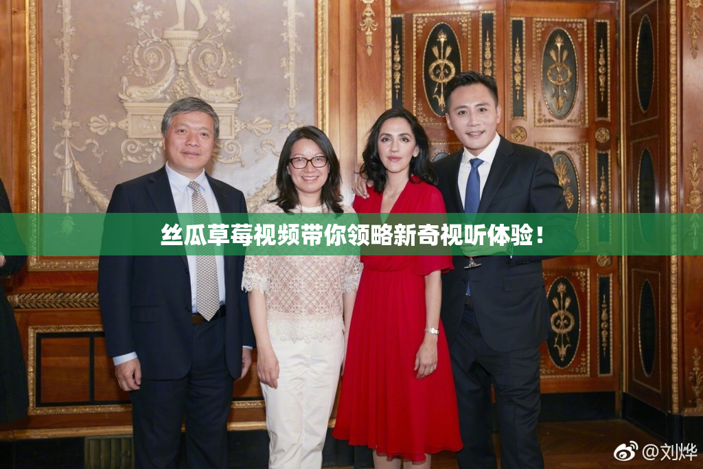 丝瓜草莓视频带你领略新奇视听体验！