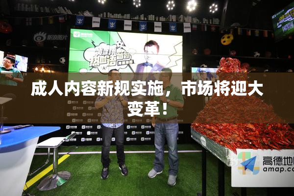 成人内容新规实施，市场将迎大变革！