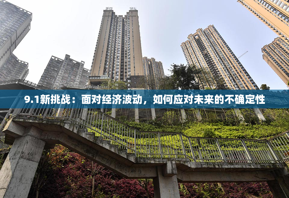9.1新挑战：面对经济波动，如何应对未来的不确定性
