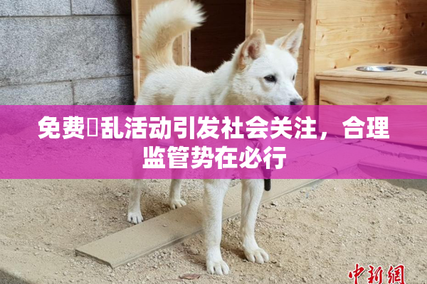 免费婬乱活动引发社会关注，合理监管势在必行