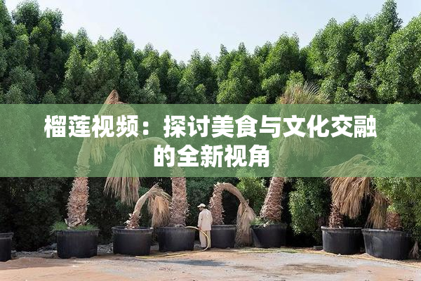 榴莲视频：探讨美食与文化交融的全新视角