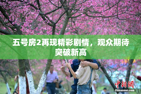 五号房2再现精彩剧情，观众期待突破新高