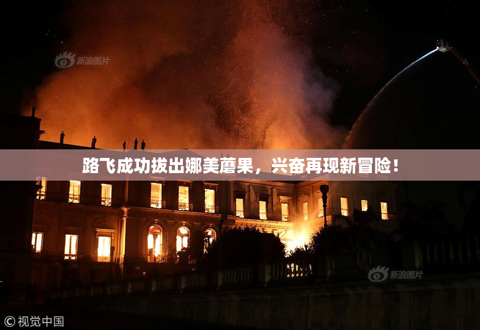 路飞成功拔出娜美蘑果，兴奋再现新冒险！