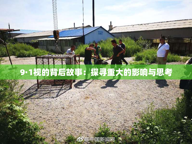 9·1视的背后故事：探寻重大的影响与思考