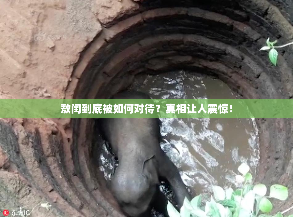 敖闰到底被如何对待？真相让人震惊！
