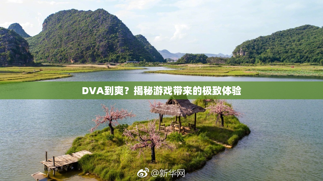 DVA到爽?揭秘游戏带来的极致体验