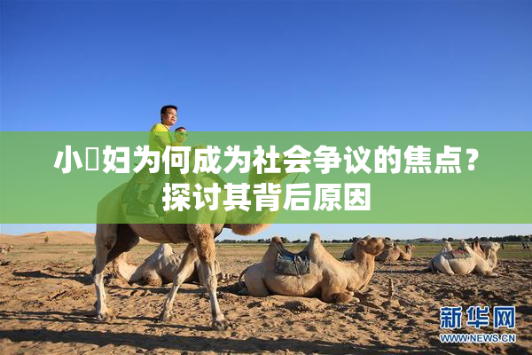 小婬妇为何成为社会争议的焦点？探讨其背后原因