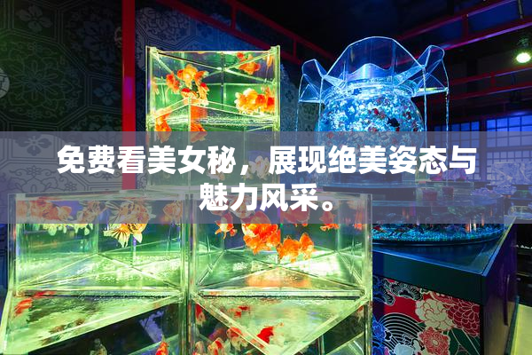 免费看美女秘，展现绝美姿态与魅力风采。