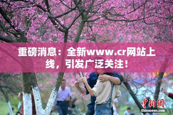 重磅消息：全新www.cr网站上线，引发广泛关注！