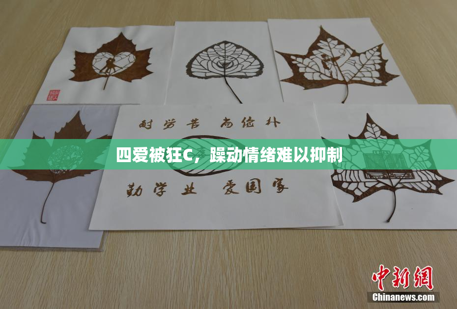 四爱被狂C，躁动情绪难以抑制