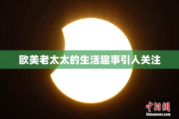 欧美老太太的生活趣事引人关注