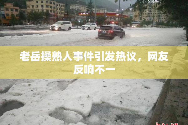 老岳搡熟人事件引发热议，网友反响不一