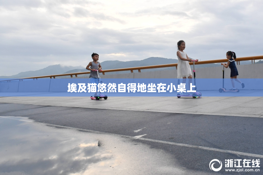 埃及猫悠然自得地坐在小桌上