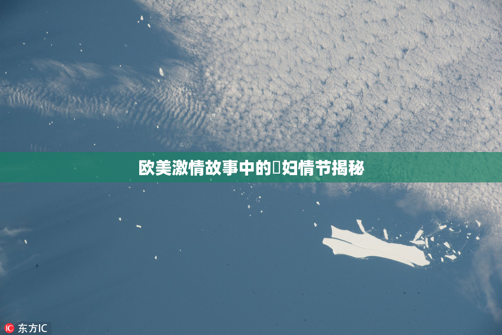 欧美激情故事中的婬妇情节揭秘