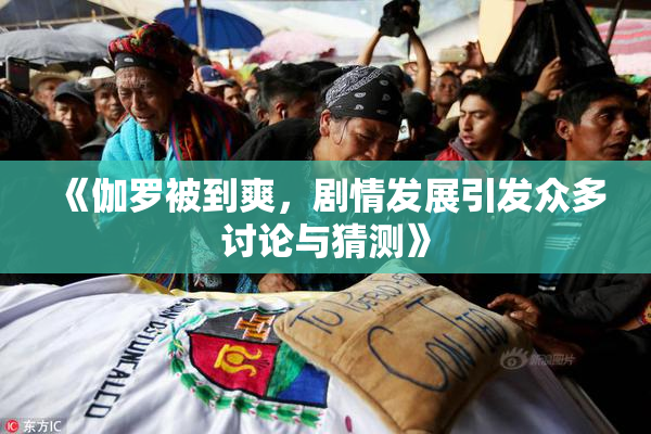 《伽罗被到爽，剧情发展引发众多讨论与猜测》
