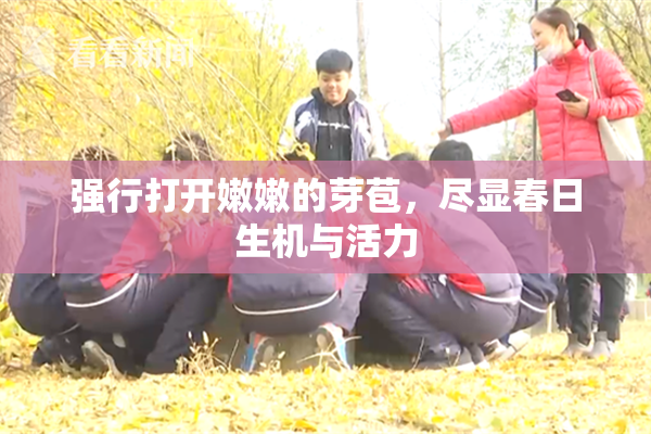强行打开嫩嫩的芽苞，尽显春日生机与活力