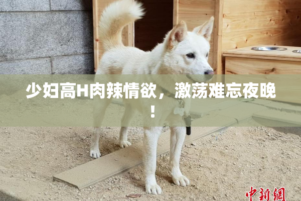少妇高H肉辣情欲，激荡难忘夜晚！