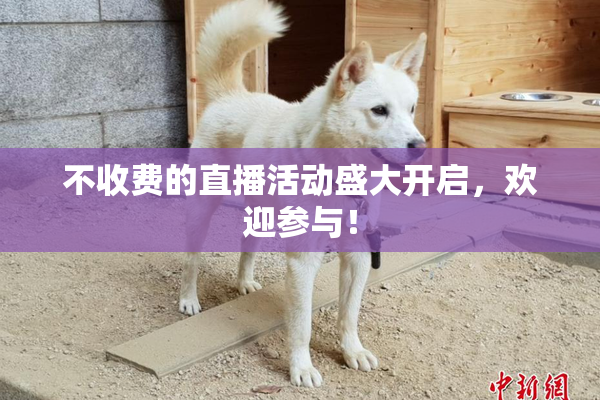 不收费的直播活动盛大开启,欢迎参与!