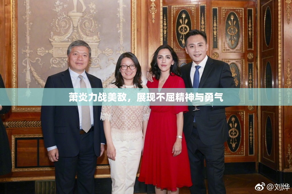 萧炎力战美敌，展现不屈精神与勇气