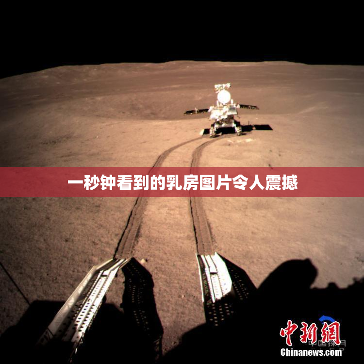 一秒钟看到的乳房图片令人震撼