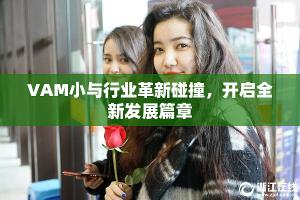 VAM小与行业革新碰撞，开启全新发展篇章
