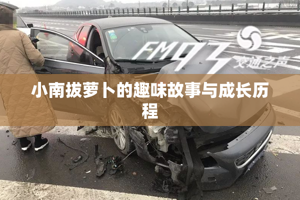 小南拔萝卜的趣味故事与成长历程