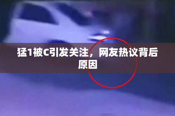 猛1被C引发关注，网友热议背后原因
