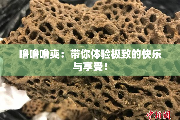 噜噜噜爽：带你体验极致的快乐与享受！