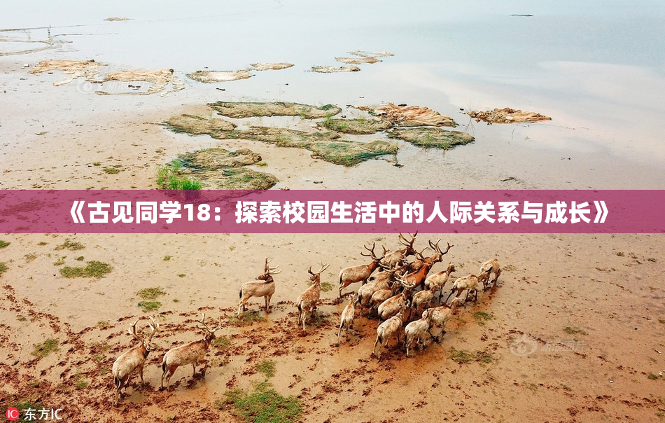 《古见同学18：探索校园生活中的人际关系与成长》