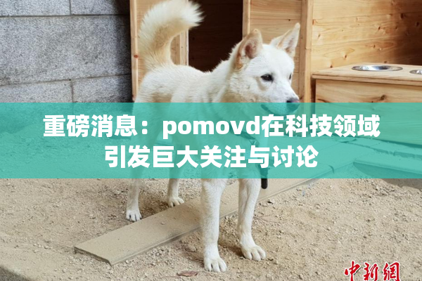 重磅消息：pomovd在科技领域引发巨大关注与讨论