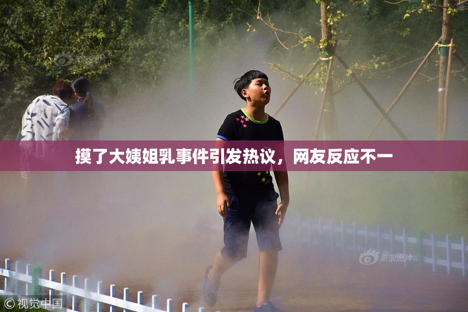 摸了大姨姐乳事件引发热议，网友反应不一