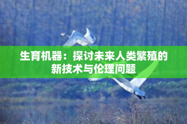 生育机器：探讨未来人类繁殖的新技术与伦理问题