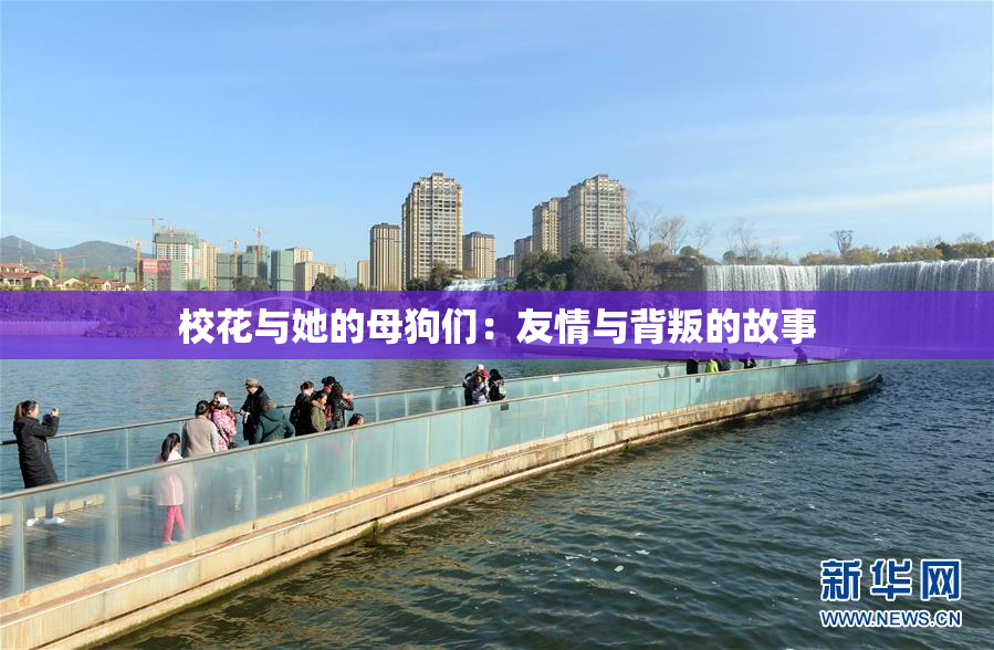 校花与她的母狗们：友情与背叛的故事