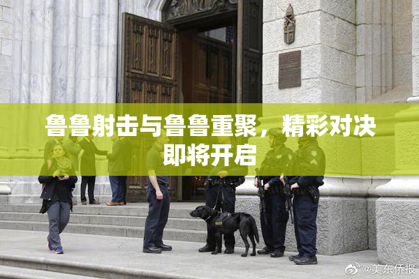 鲁鲁射击与鲁鲁重聚，精彩对决即将开启