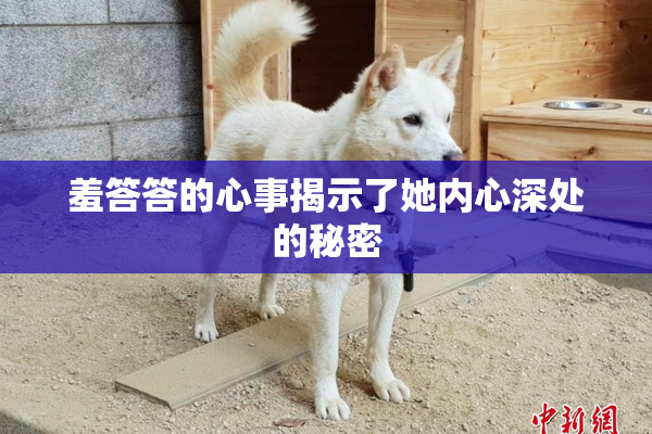 羞答答的心事揭示了她内心深处的秘密