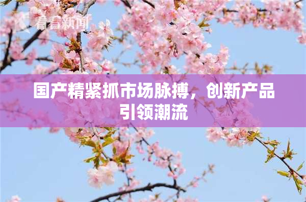 国产精紧抓市场脉搏，创新产品引领潮流