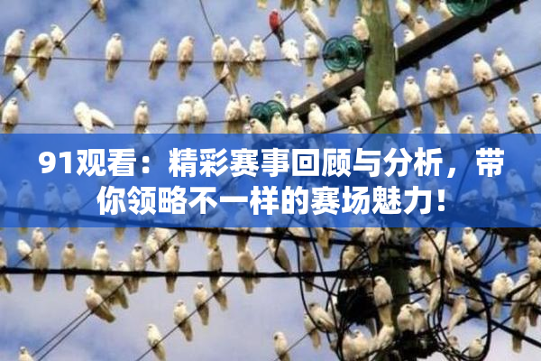 91观看：精彩赛事回顾与分析，带你领略不一样的赛场魅力！