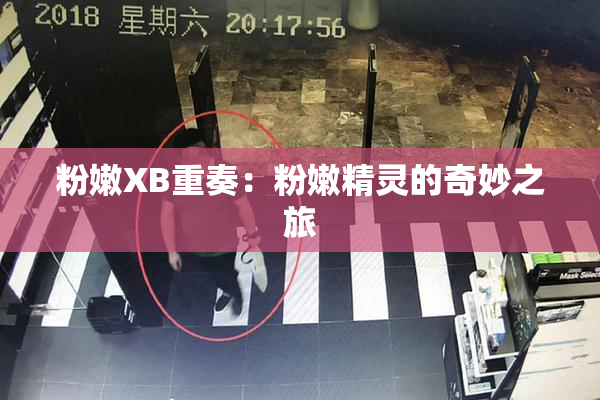 粉嫩XB重奏：粉嫩精灵的奇妙之旅