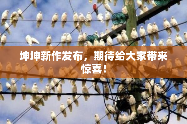 坤坤新作发布，期待给大家带来惊喜！
