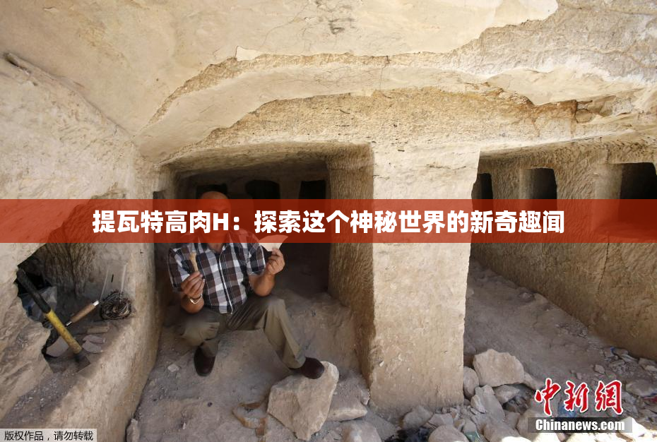 提瓦特高肉H:探索这个神秘世界的新奇趣闻