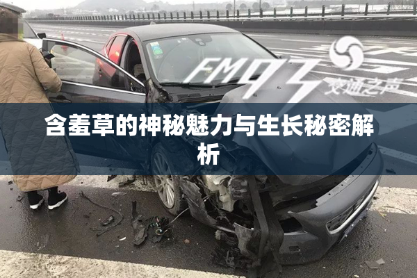 含羞草的神秘魅力与生长秘密解析